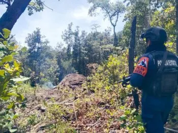 Inhabilita SSP Puebla hornos para hacer carbón, en San Nicolás de los Ranchos