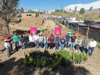 Realiza la diputada Norma Estela Pimentel jornada de reforestación en San Lorenzo Almecatla