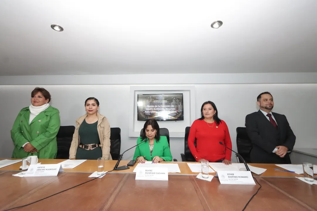 Comisiones Generales