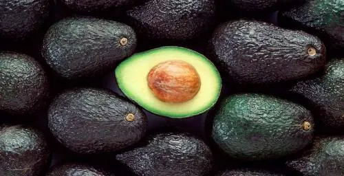 Puebla crece en la exportación de aguacate en el mundo