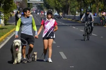 Ofrece Vía Recreativa calles abiertas y seguras para más de cuatro mil personas: SMT