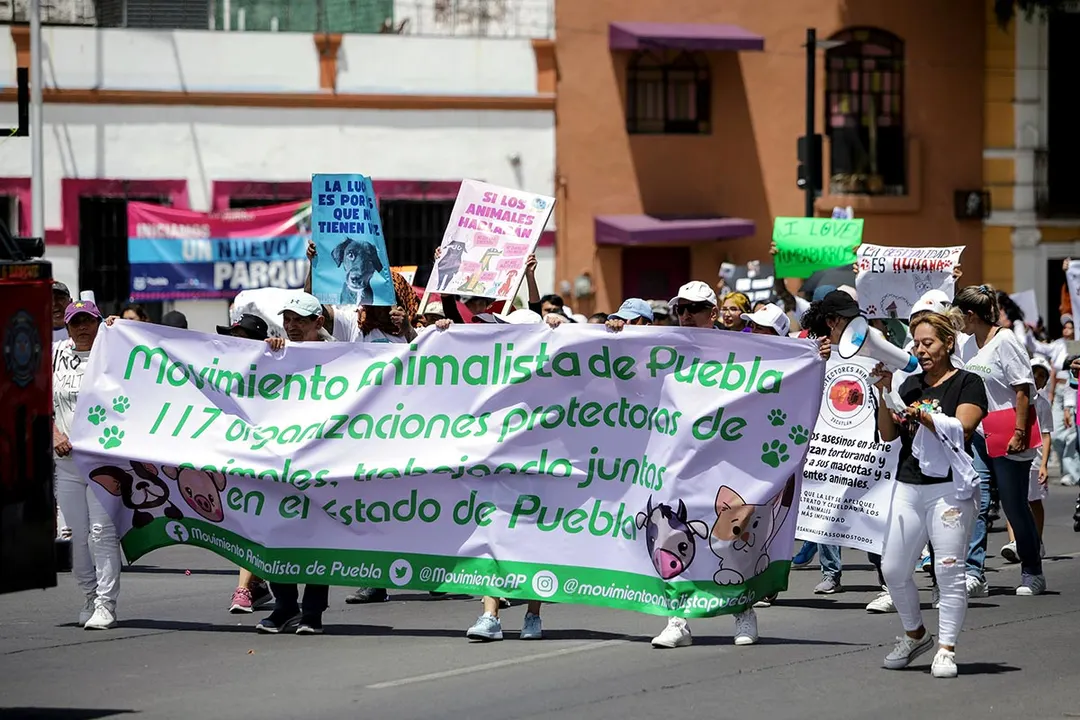 Marcha Contra El Maltrato Animal Puebla