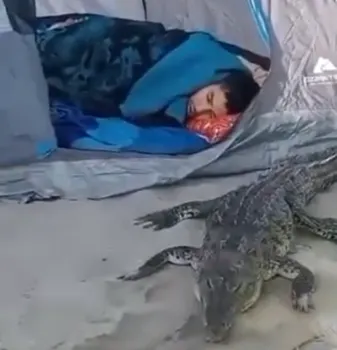Cocodrilo sorprende a turistas en playas de Jalisco 