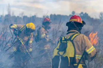 Prevención y combate de incendios, tareas de la Guardia Forestal de Puebla