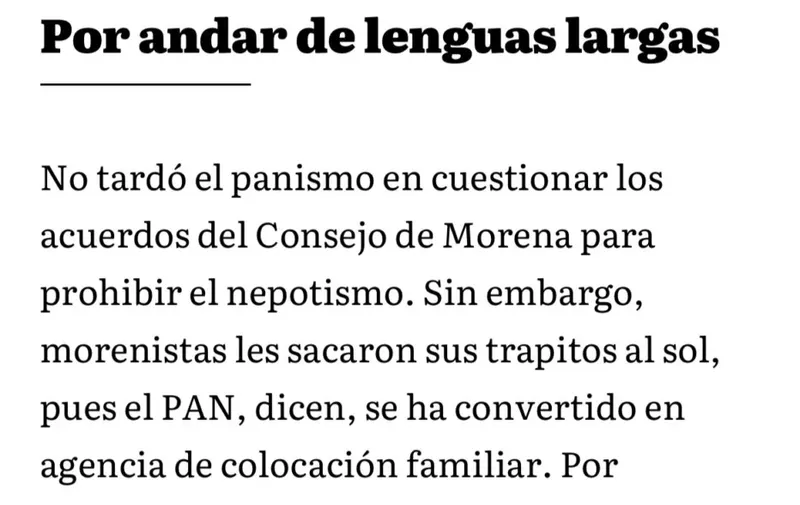 nepotismo-pan-mario-riestra-el-heraldo