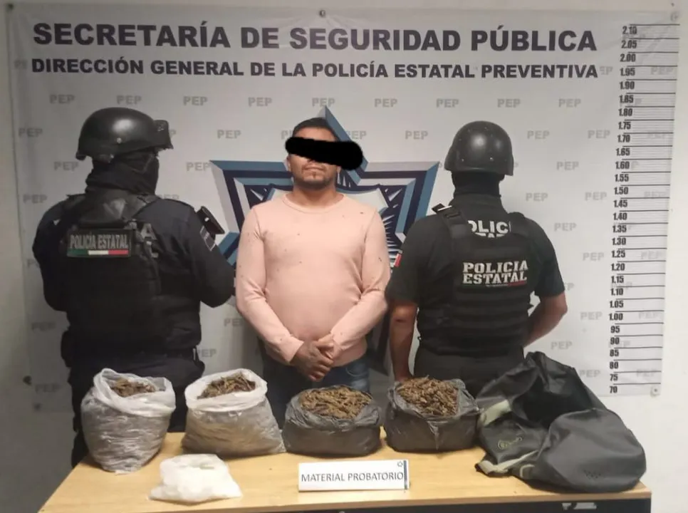 Pelón del sur