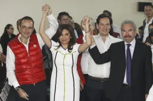Avala TEPJF candidatura común del PES a favor de Alcalá