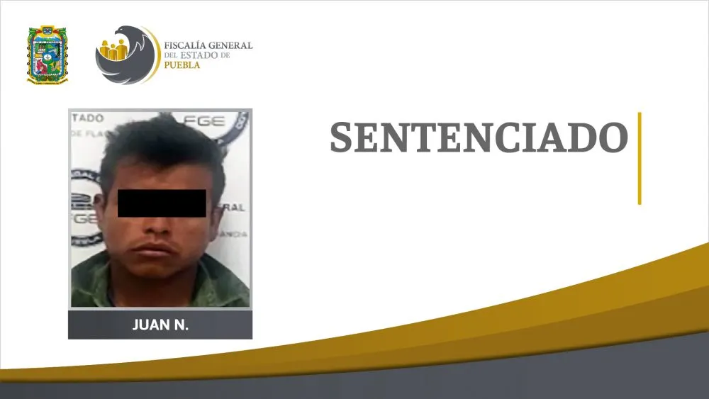 Sentenciado a 2 años de cárcel por encubrimiento al recoger cartuchos