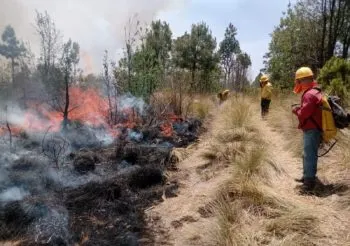 Dos incendios forestales activos en Puebla; en tres meses se han registrado 246