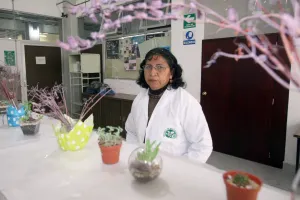 En la BUAP se desarrollan técnicas de cuidado y preservación de cactáceas