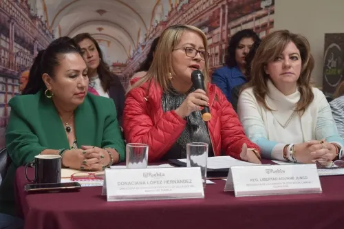 Libertad Aguirre dice respetar licencia de Rubio Acle