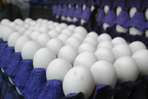 Huevo continúa en hasta $70 a la venta en diversos puntos del país