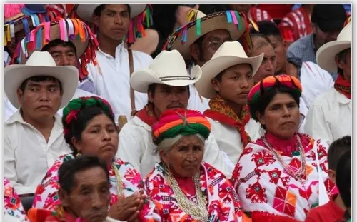 Colaborará Instituto de Pueblos Indígenas con INALI para preservar lenguas originarias