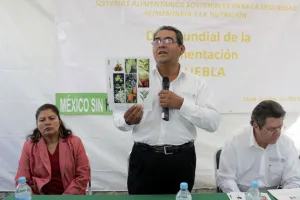 No hay permisos ahora para sembrar maíz transgénico: Sagarpa