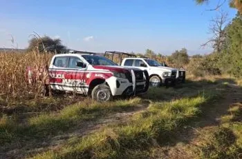 Autoridades de Puebla y Tlaxcala coordinan acciones tras hallazgo de seis cuerpos en Nopalucan