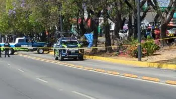 Se cuelga hombre de un árbol frente al Sanborns del Bulevar 5 de Mayo