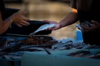Académica Ibero Puebla te explica cómo elegir pescados y mariscos en esta Cuaresma