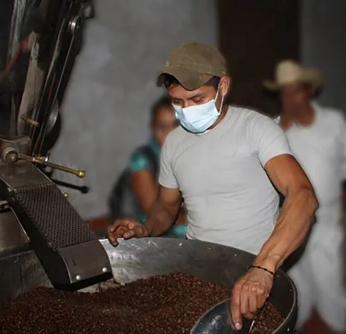 Puebla alcanza el 3er.lugar a nivel nacional del valor de producción de café