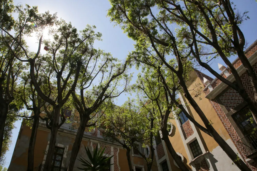 Foto: Arlette Gordian/ ES imagen.mx