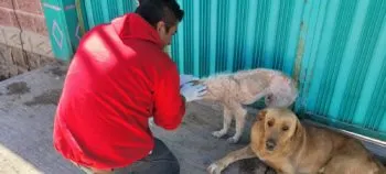 Así puedes realizar reportes en el CEMA de Atlixco