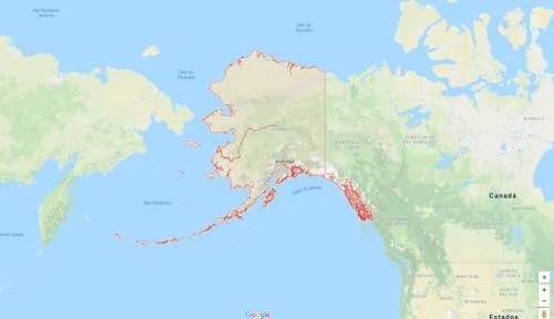 Se registra sismo de 8.2 grados en Alaska; emiten alerta de tsunami
