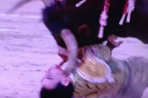 El torero Jiménez Fortes sufre espeluznante cornada en el cuello