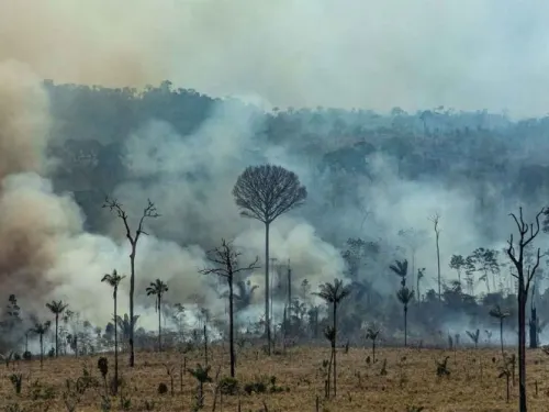 Preocupa al Papa Francisco incendio en el Amazonas