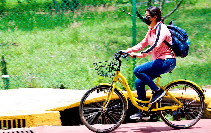 buap-lobobici