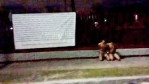 Dejan desnudos y amarrados a 2 jóvenes en UVM Tampico