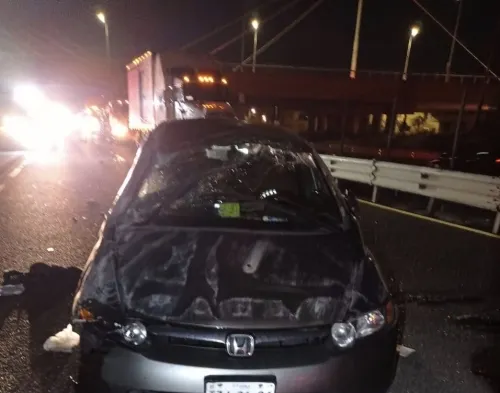 Muere gruyero arrollado en la autopista