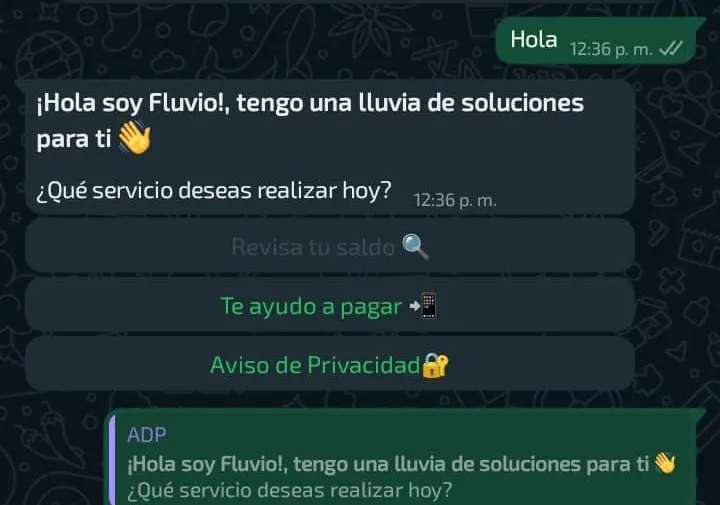 agua-de-puebla-chatbot-fluvio