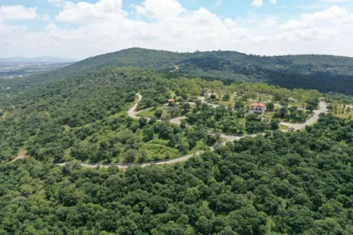 Avalan reversión de permutas de terrenos de Flor del Bosque