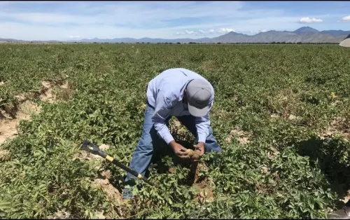 México registra 159 mil 998 nuevos empleos en octubre