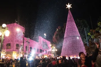 ¡Puebla ya brilla! Pepe Chedraui prende árbol de 20 metros e iluminación navideña en el zócalo capitalino