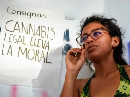 Descarta López Obrador riesgos por uso lúdico de mariguana