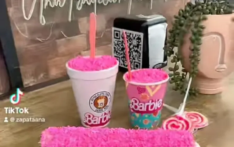 Crean los Barbielotes