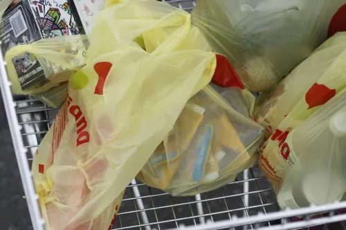DIF Municipal entregará mil bolsas de usos múltiples a negocios en 2020