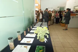 BUAP lanza sitio web para conocer colección digital del Herbario Histórico