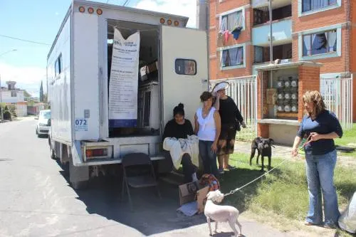 El Ayuntamiento de Puebla realiza jornadas gratuitas de esterilización de mascotas