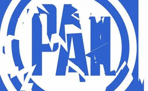 El Abismo del PAN en Puebla y en Todo el País También