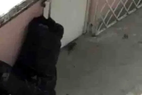Padres de familia denuncian plaga de ratas en kinder de la Ampliación Guadalupe