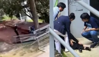 Ataque en el CCH Sur: estudiante apuñala y mata a compañero; se lanza desde un edificio