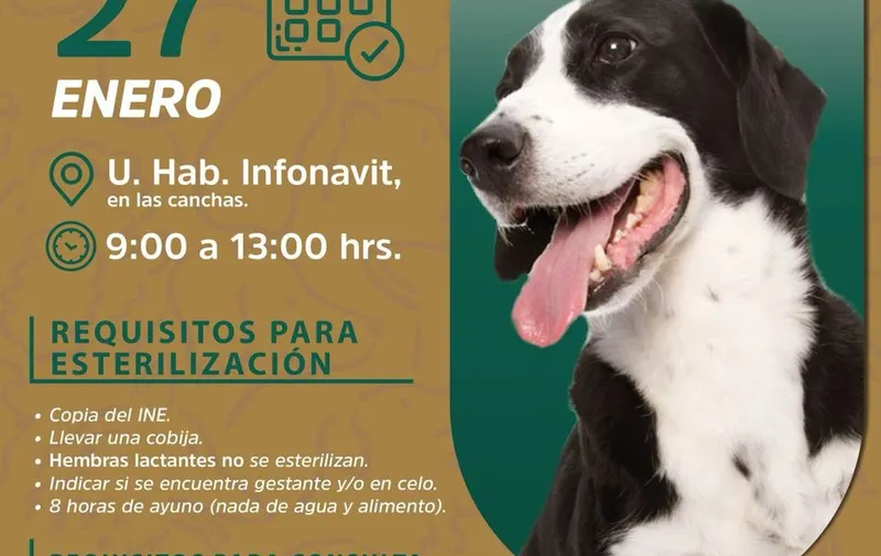 atlixco-jornada-servicios-veterinarios-gratuitos