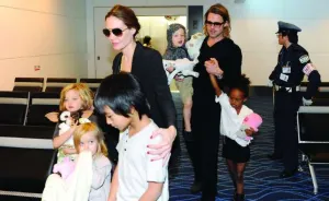 Jolie y Pitt podrían divorciarse este año