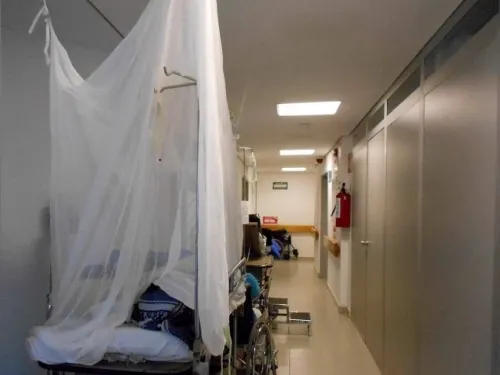 Suman 44 casos de dengue hemorrágico en Nuevo León