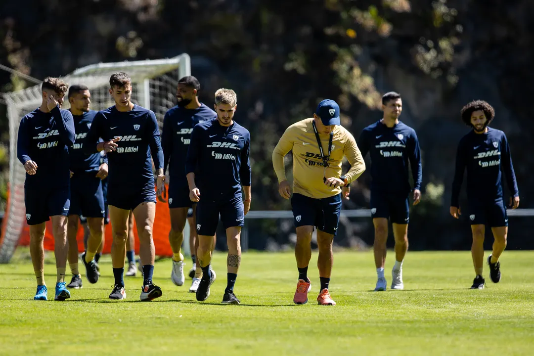 Pumas