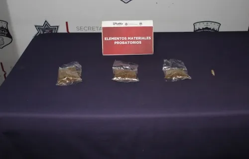 Detiene SSC a tres hombres por delitos contra la salud