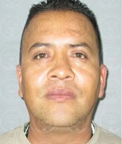 Imagen del artículo