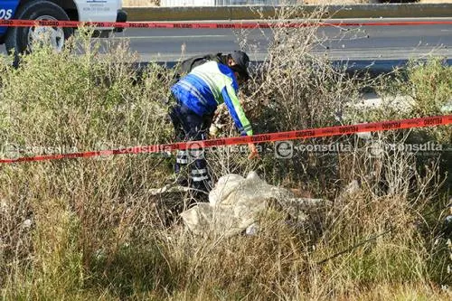 Hallan cuerpos de dos hombres en el Periférico Ecológico