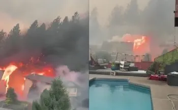 Trump declara emergencia por incendios en el noroeste de EE.UU.; más de 65 mil personas han sido evacuadas